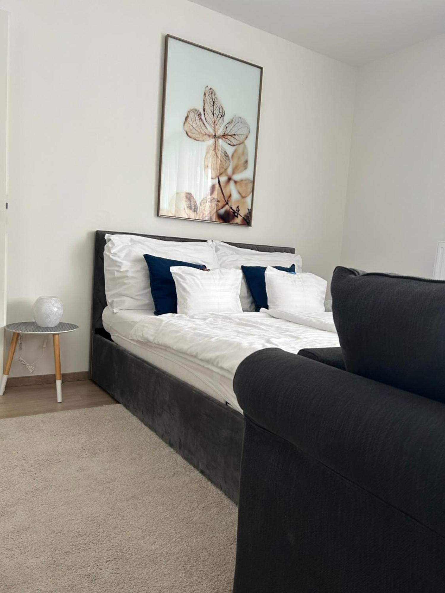 West Budapest-edge Of Downtown-free Parking Apartmán Budapešť