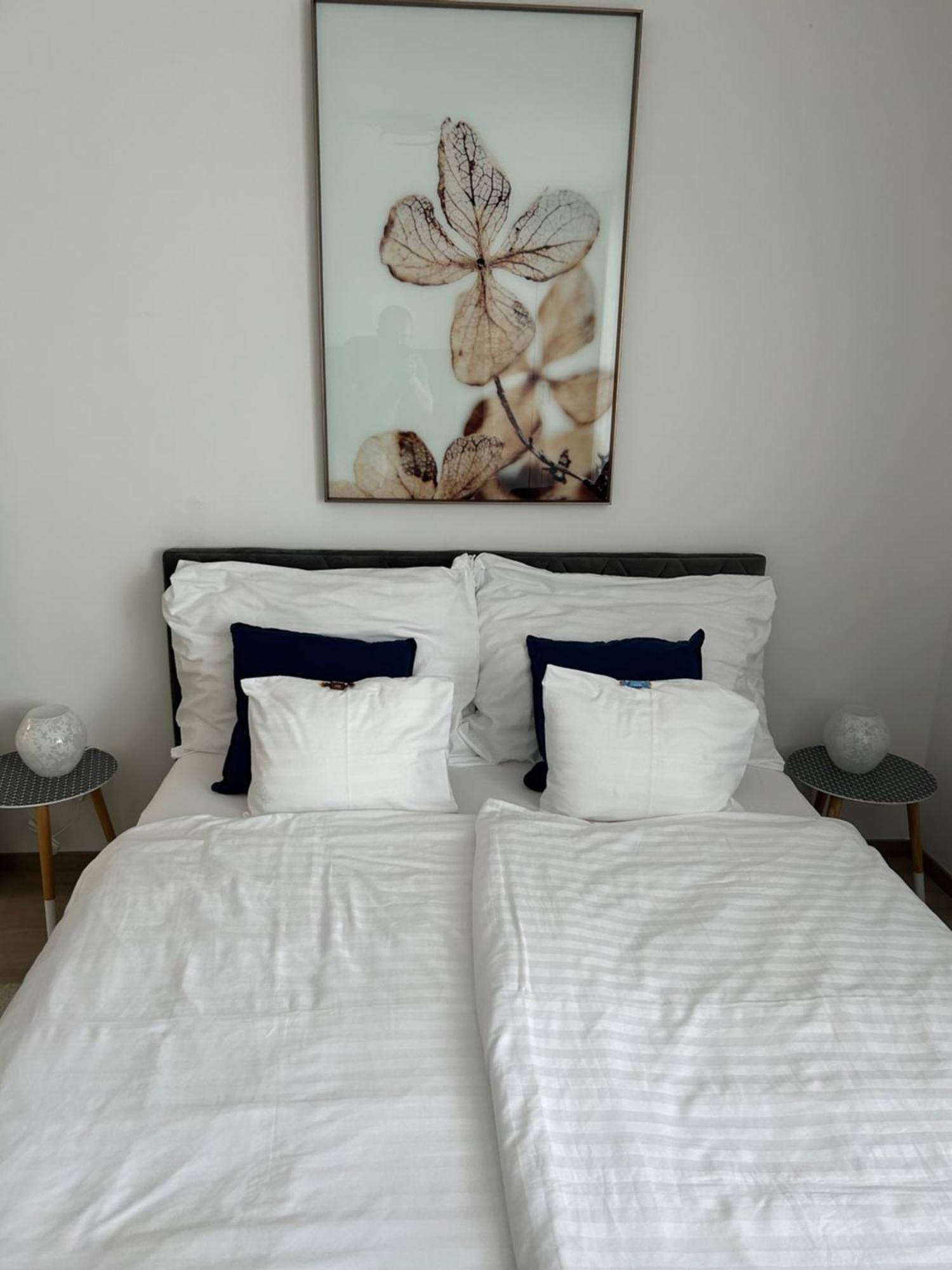 West Budapest-edge Of Downtown-free Parking Appartement *