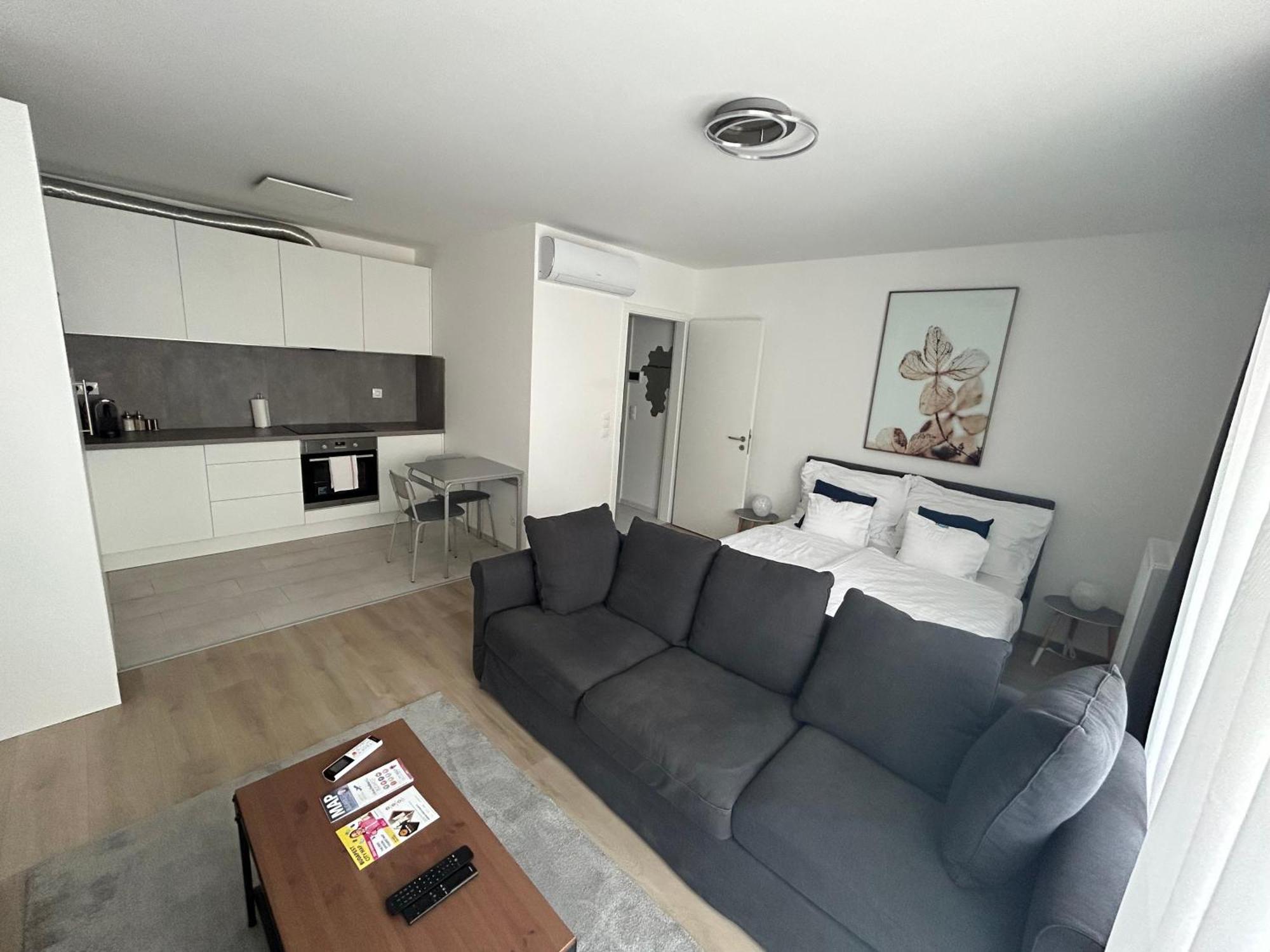 West Budapest-edge Of Downtown-free Parking Appartement